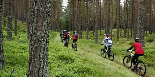 Bourkes Bikes Shop Social Ride - 17/9/22 Beginner MTB